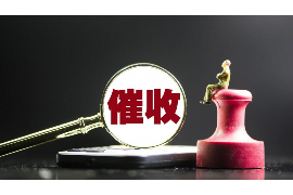 荔蒲荔蒲专业催债公司的催债流程和方法